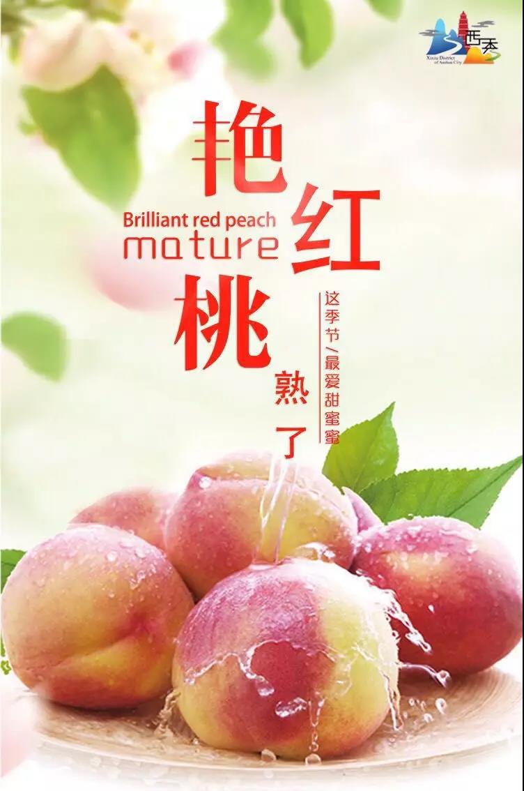 微信图片_20180802114015.jpg