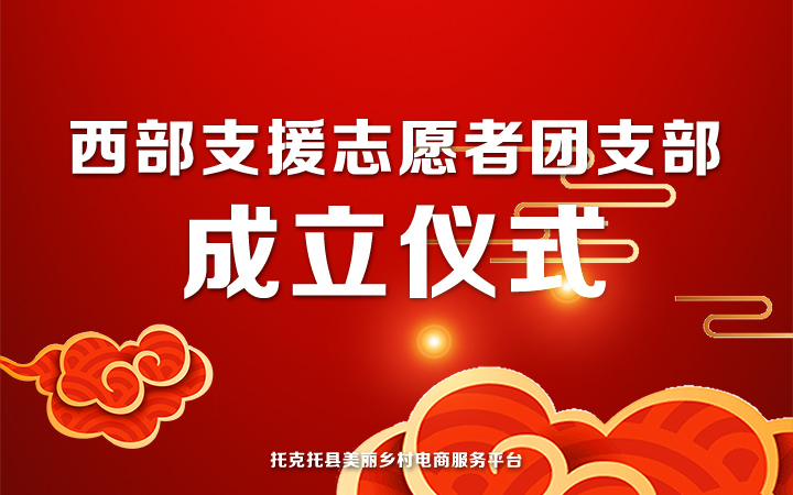 西部支援团支部成立.jpg
