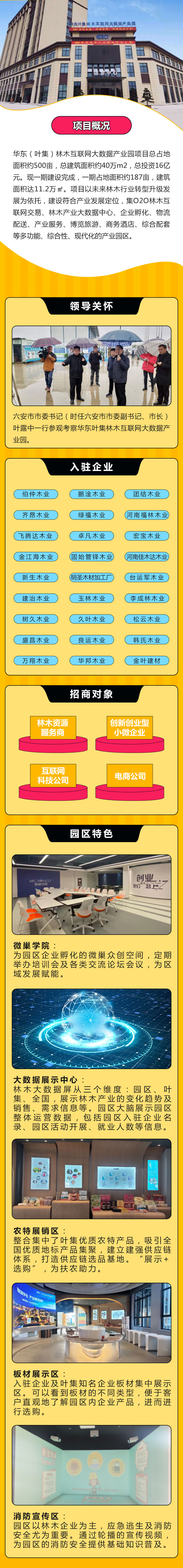 叶集1(1).jpg